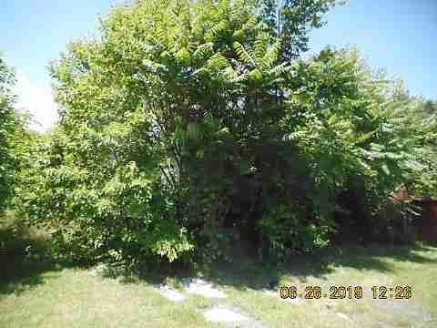 20103 Cardoni (3)_m.jpg